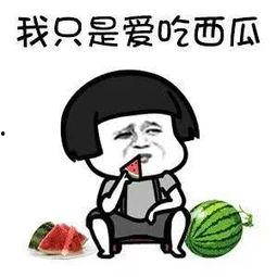 娱乐瓜都是在哪里吃的,明星们的“娱乐瓜”聚集地大揭秘  第1张