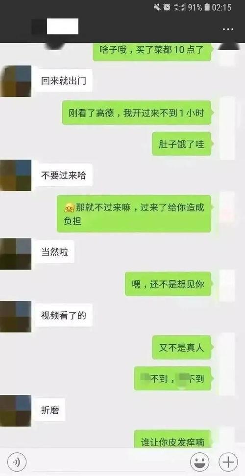 吃瓜免费聊天记录下载,一场网络社交的狂欢与反思  第1张